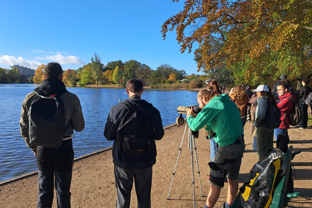 Groupe Jeunes LPO IDF